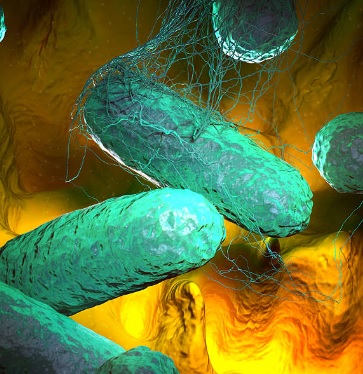 Новый смертельный вирус Марбург: в Гане умерли двое зараженных