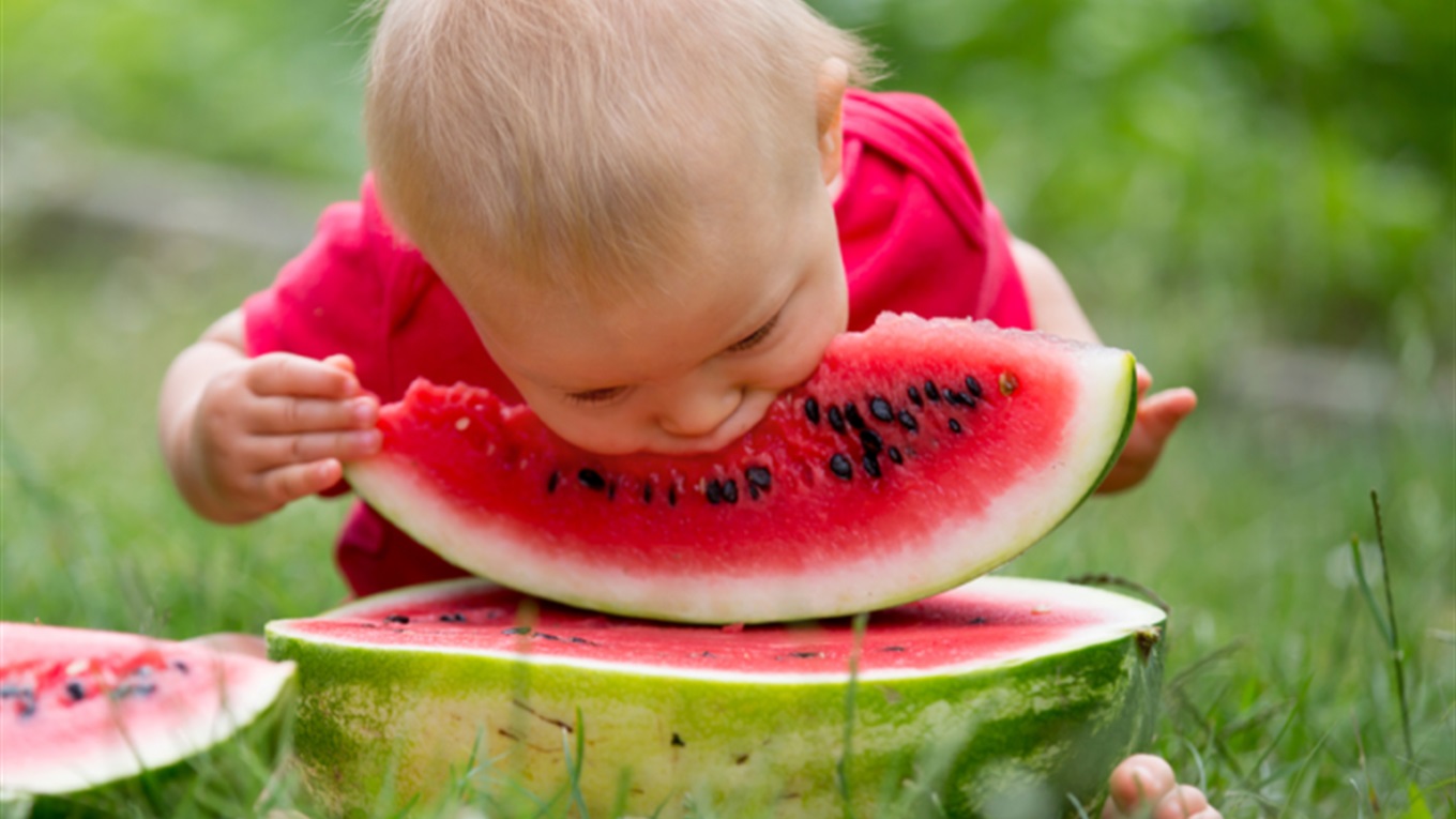 Месяц щедрого урожая: календарь огородника на август 2022