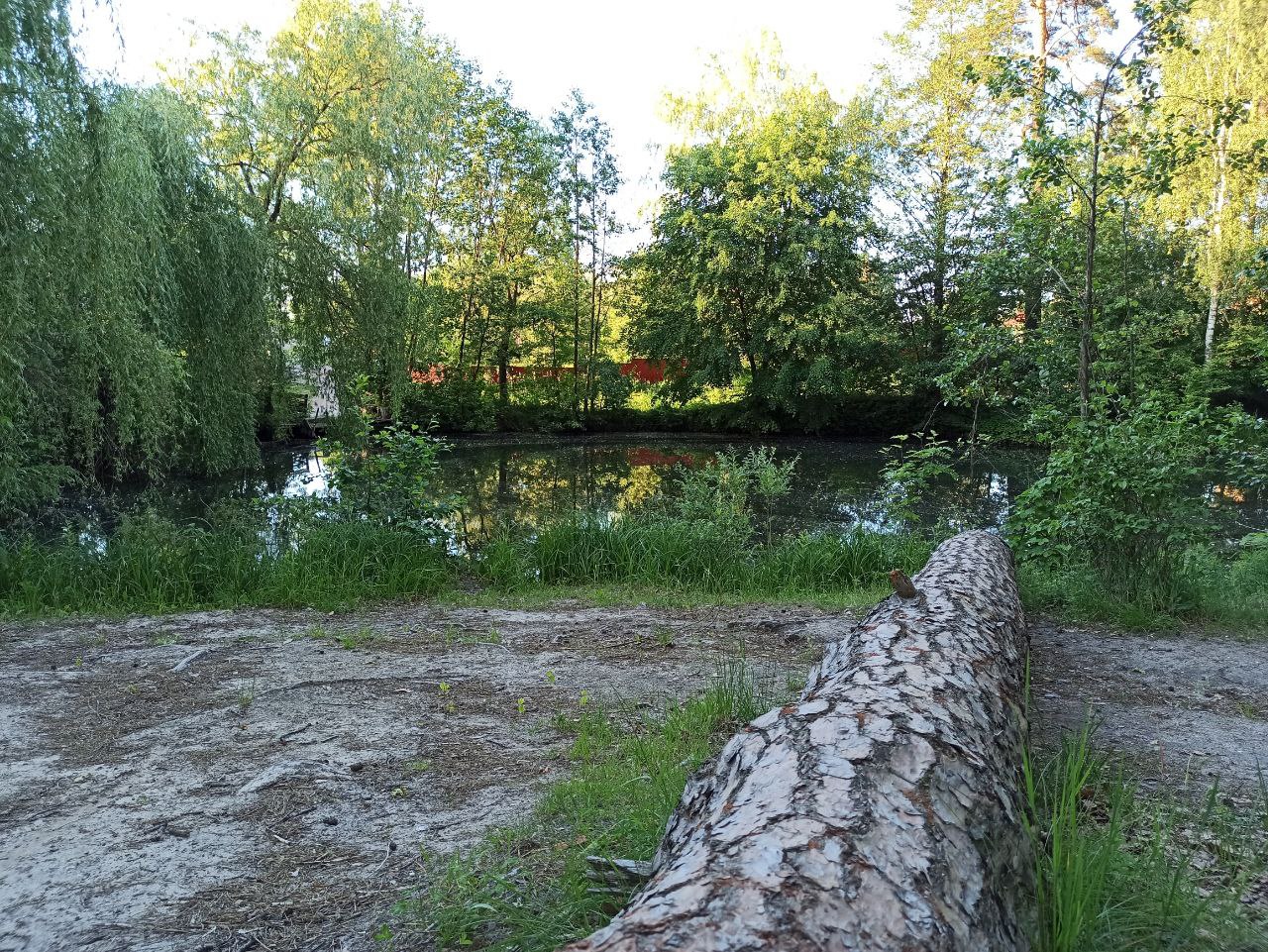 До України прийшов антициклон Thomas: якою буде погода