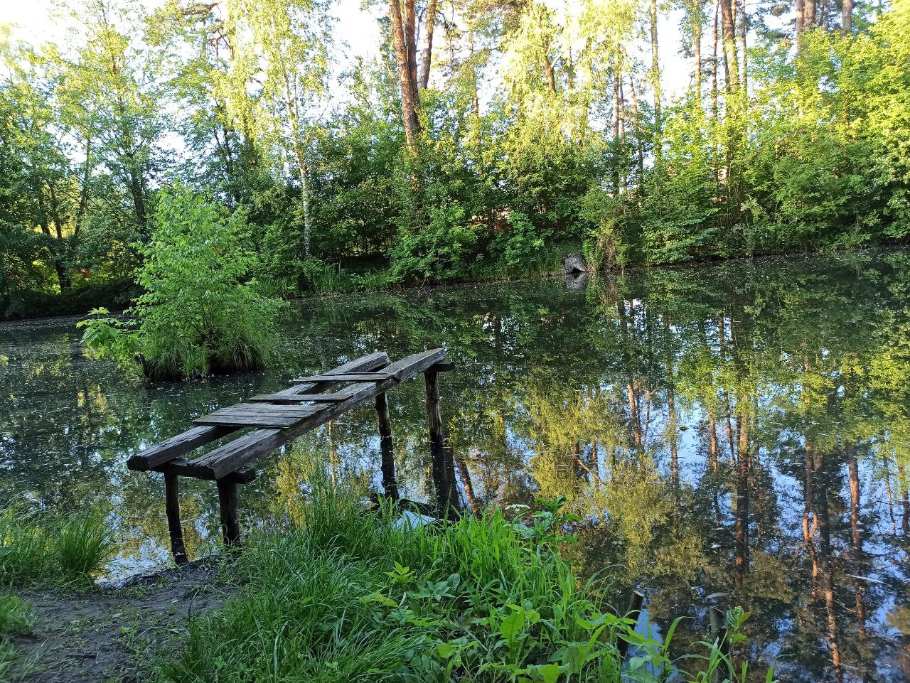 Жара и грозы: какой будет погода в Украине 9 августа