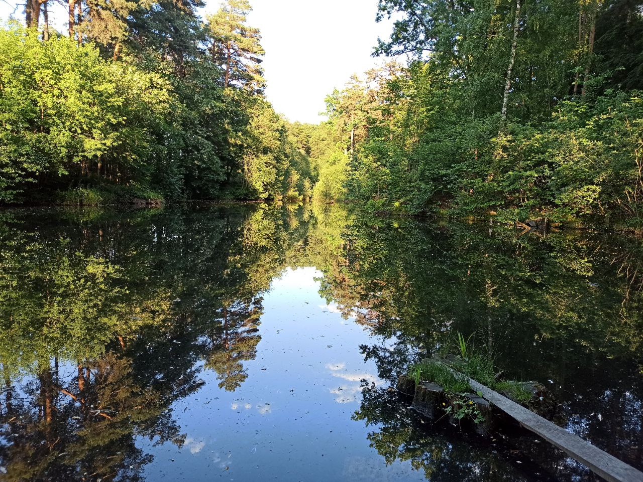 Потепление до 36 градусов ожидается в Украине