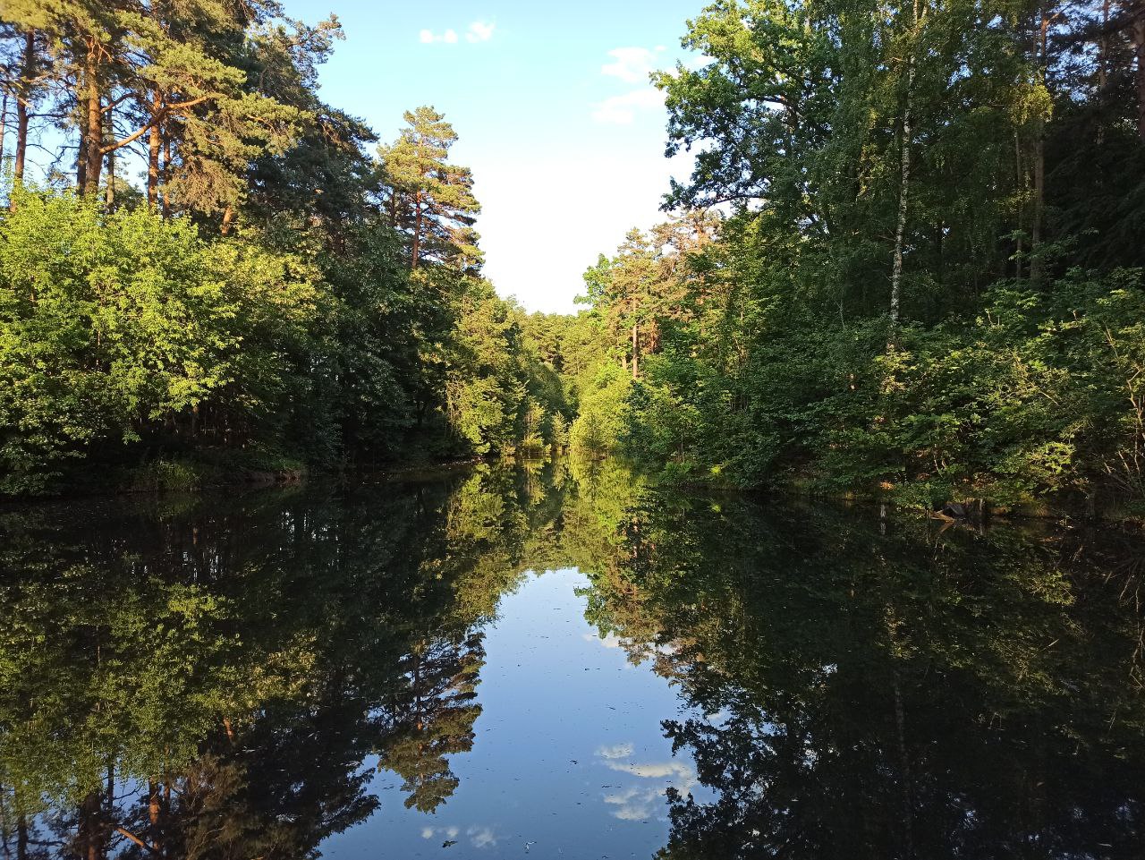 Жара усилится: Диденко о погоде на 24 июля