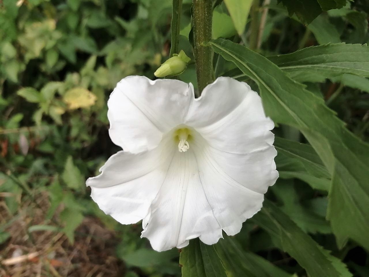 Умеренно теплая и дождливая: синоптики рассказали о погоде до конца июля