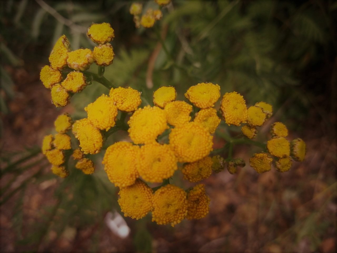 В выходные украинцев ожидает резкая смена погоды