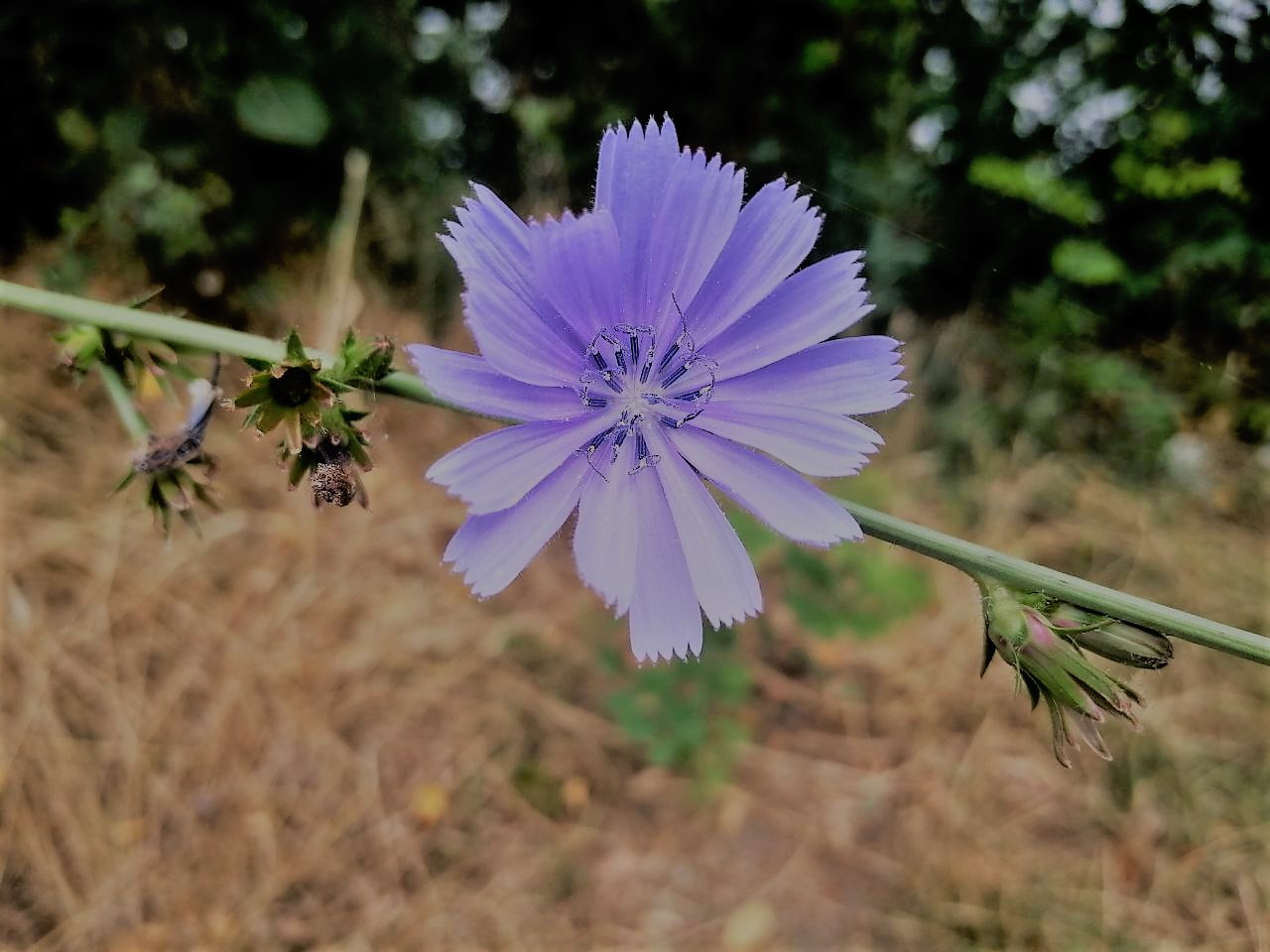 Погода на вихідних здивує температурними контрастами