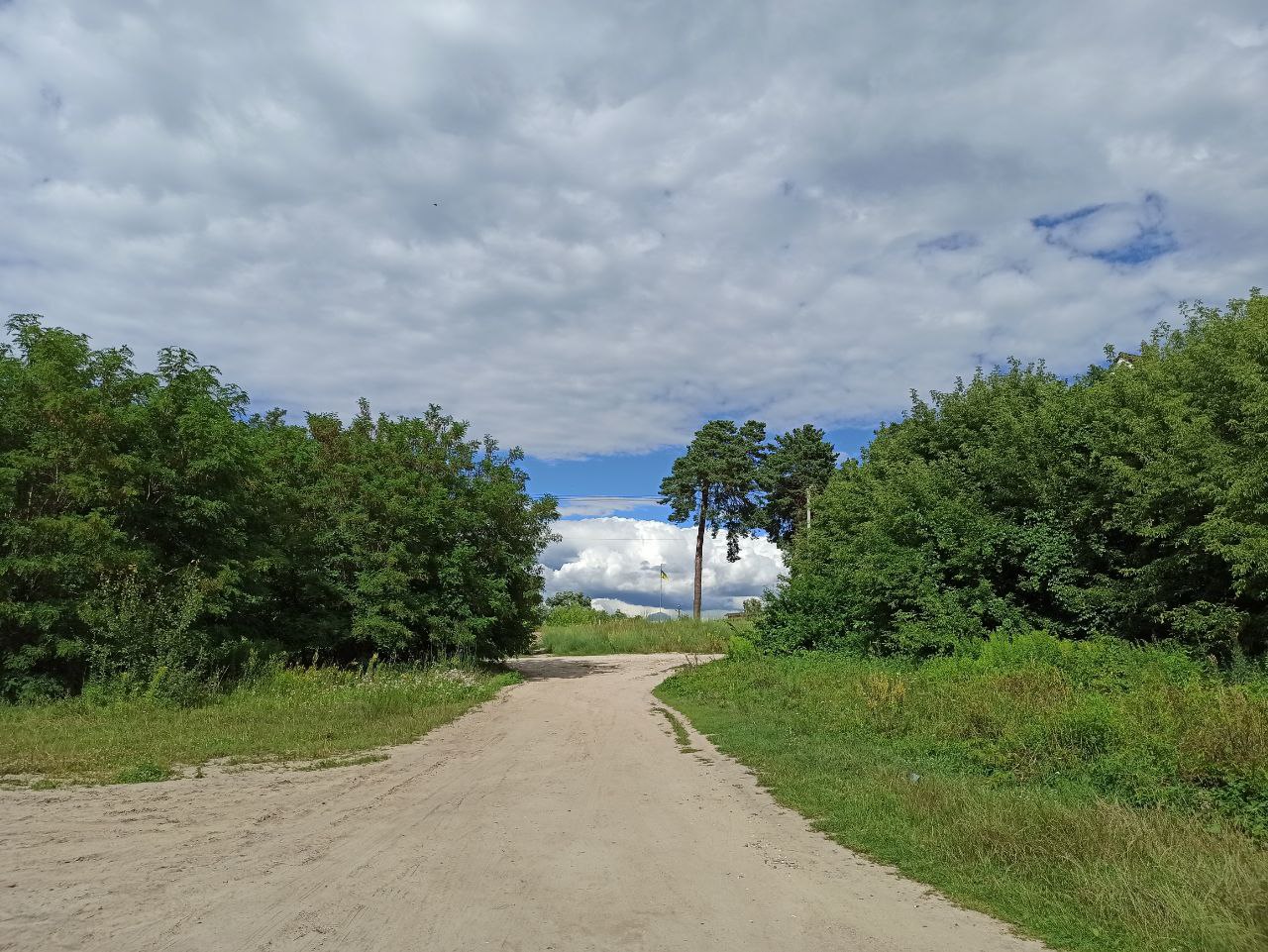 Погода на 28 июля: синоптики обещают жару и дожди