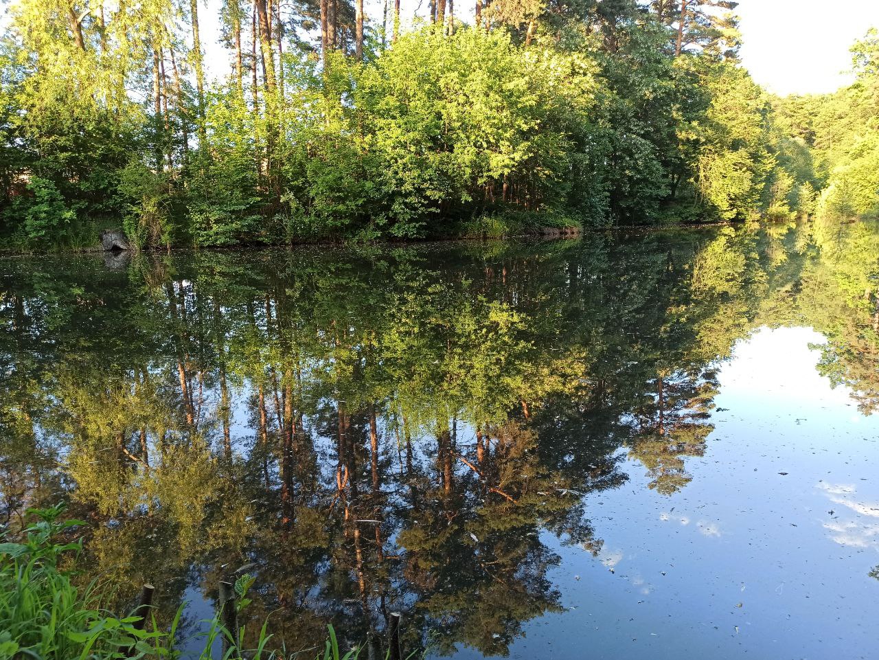 Тумани і комфортне тепло: синоптик розповіла про погоду 7 вересня