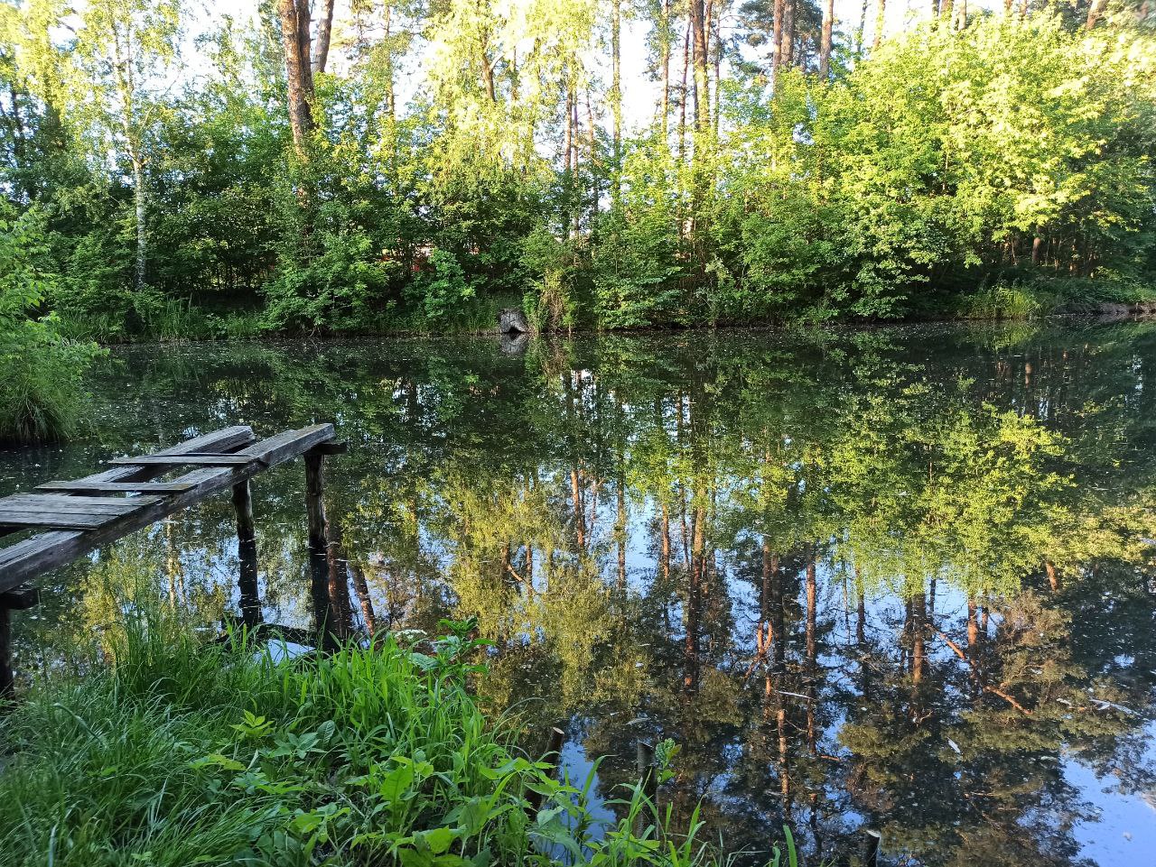 Грозы, град и шквалы: синоптики объявили желтый уровень опасности