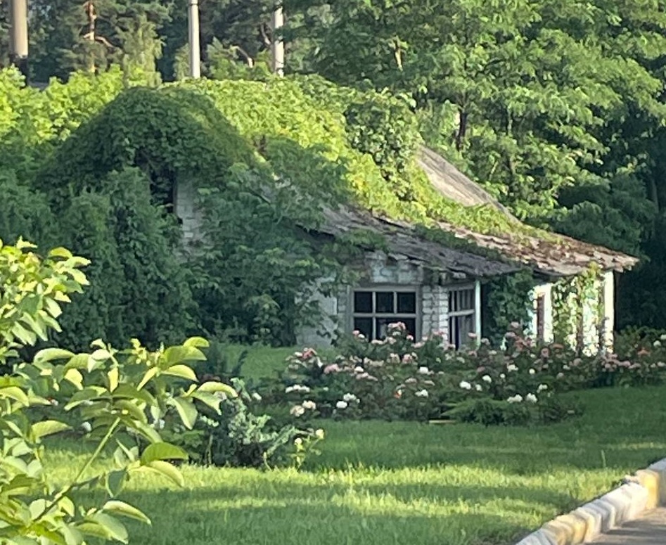 Синоптики про погоду на 13 липня: може похолодати до трьох градусів