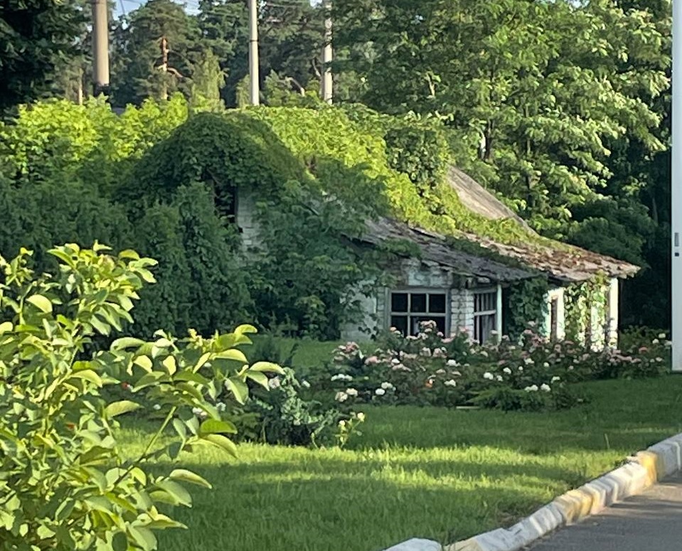 Прохолодно і без опадів буде в Україні 8 травня