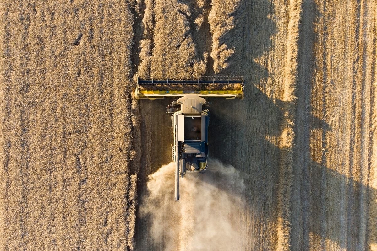 Около 18 млн тонн прошлогоднего урожая остается в Украине и ожидает экспорта