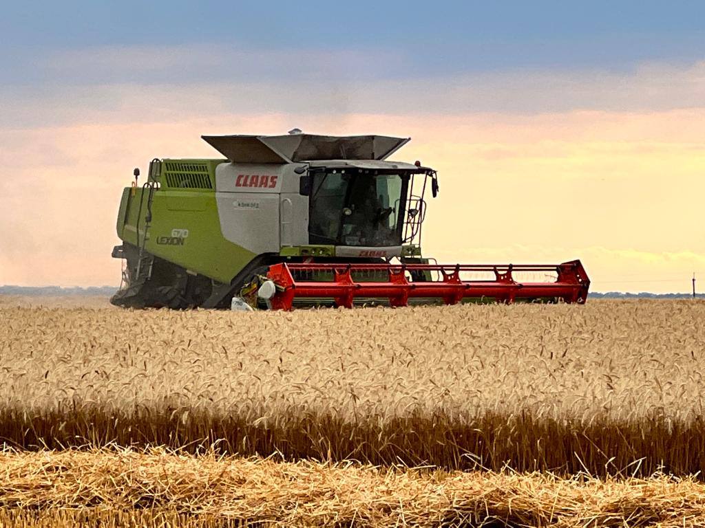 Украина получила 40 миллионов долларов на обеспечение хранения зерна