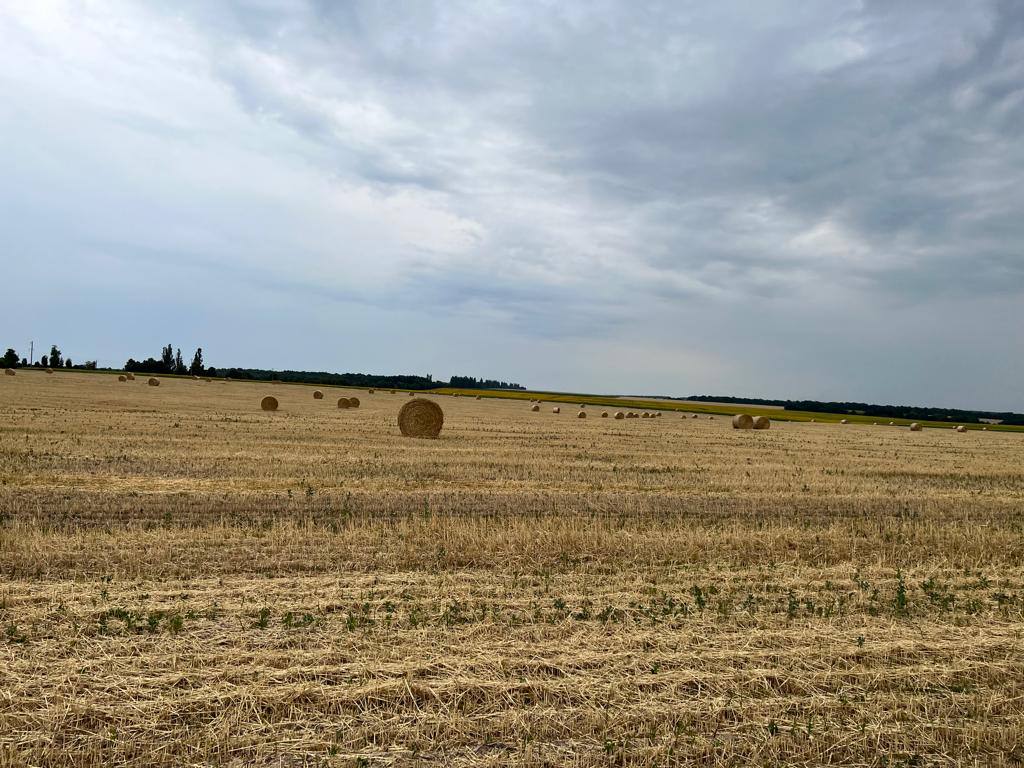 Жара, дожди, сильный ветер: какой будет погода 10 августа
