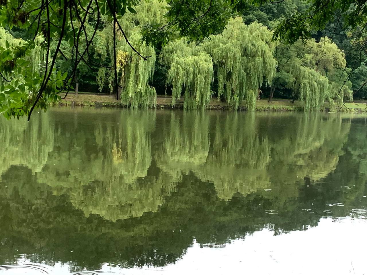 Дождливой и ветреной будет погода в Украине 15 сентября: стоит ли ждать тепло