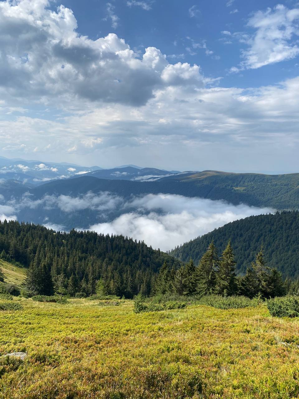 Дощі покидають Україну: прогноз погоди на 12 серпня