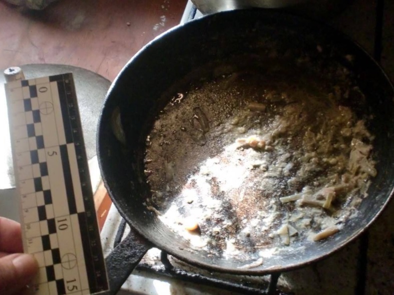 Дві сестри насмерть отруїлися грибами на Київщині - фото