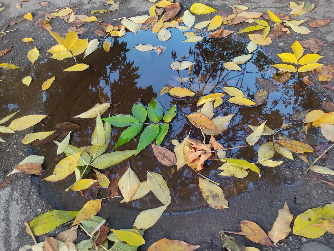 У вівторок Україну очікує різке похолодання