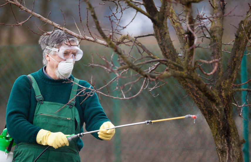 Пора завершать работу: календарь огородника на ноябрь