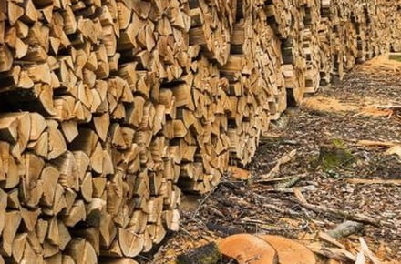 "ДроваЄ": в Украине заработал интернет-магазин для приобретения дров