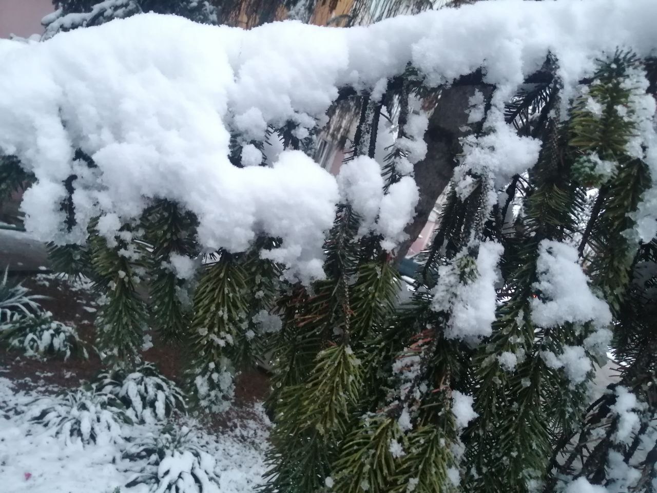 Туман та ожеледиця: в Укргідрометцетрі розповіли про погоду на вівторок