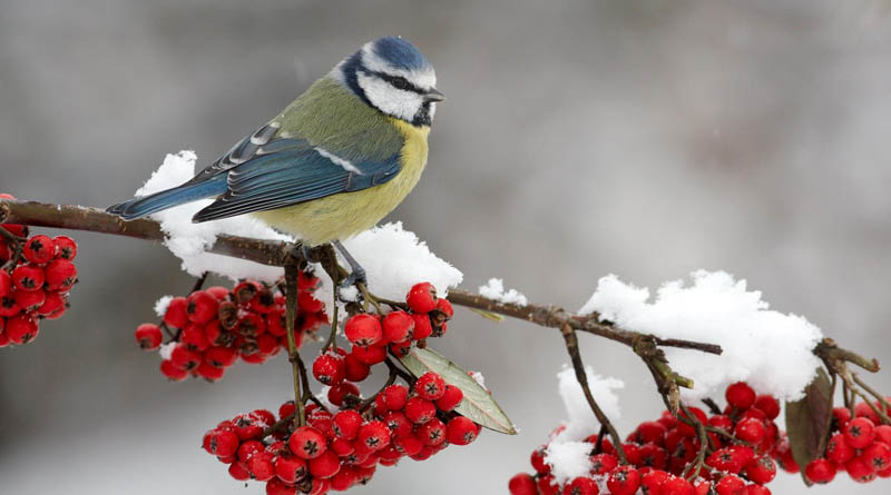 В Украину пришло сильное потепление: что обещают синоптики