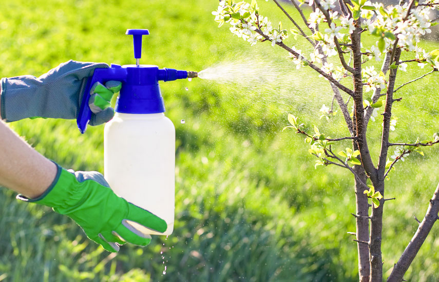 Сажаем все: календарь огородника на апрель 2023