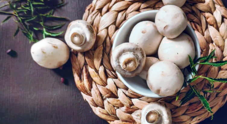 Простые рецепты вкусности: готовим блюда из шампиньонов