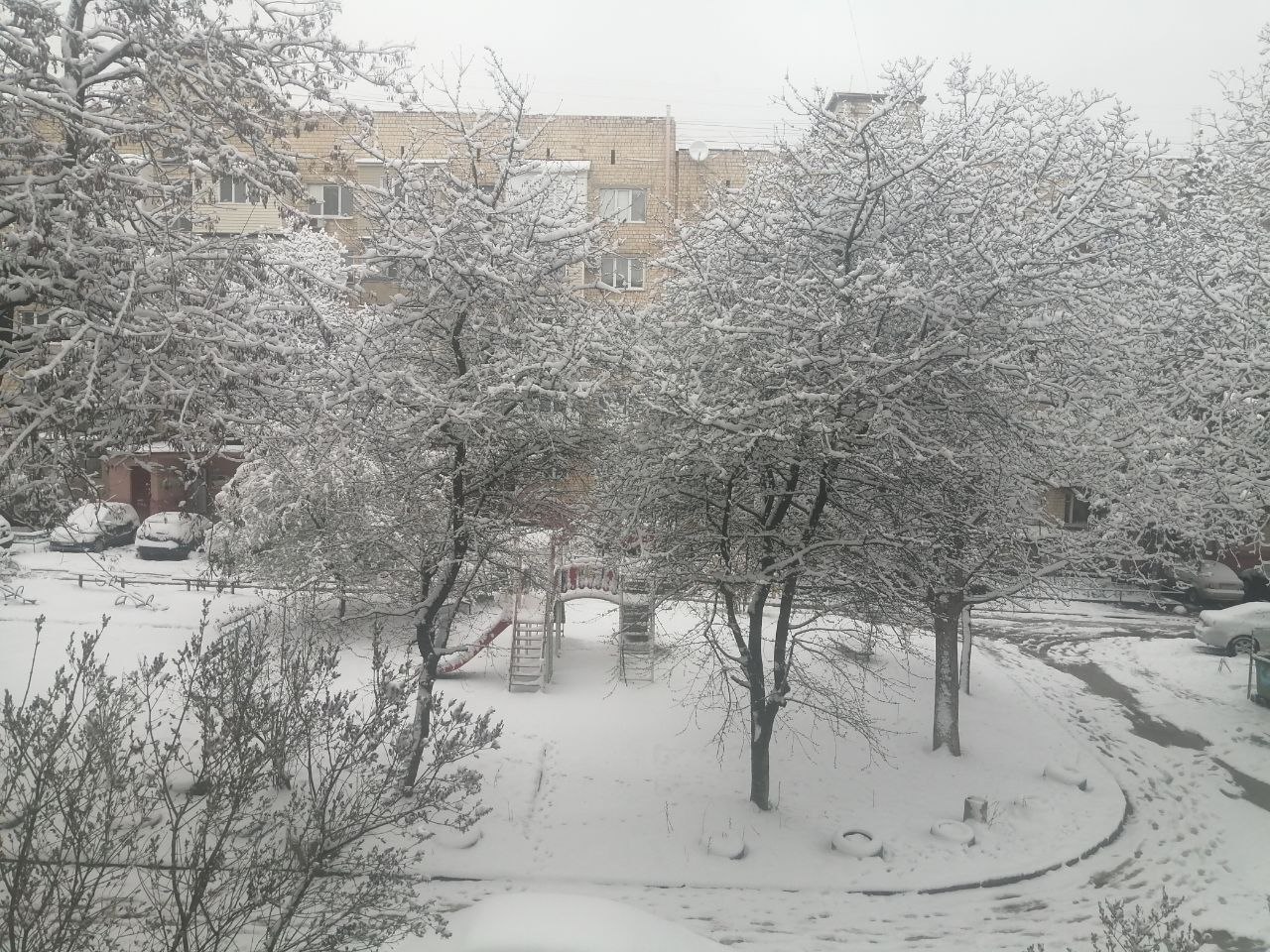 Морозы и снегопады на западе продлятся: прогноз погоды на 6 апреля.