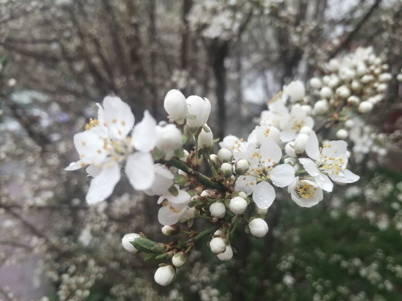 От заморозков до плюс 20: прогноз погоды на 1 мая