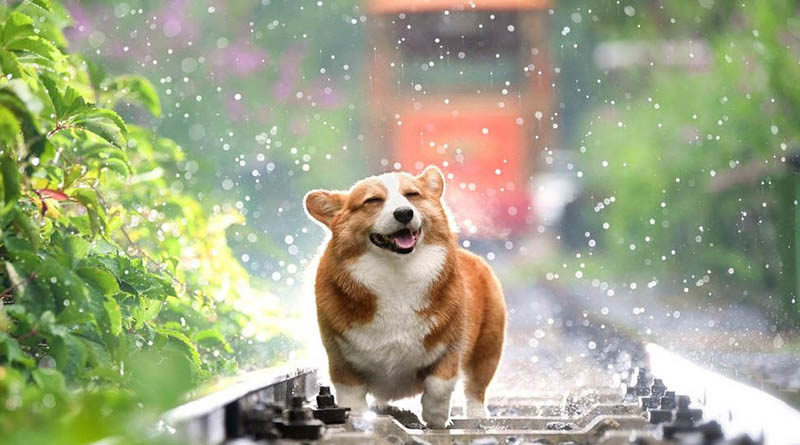 Потепление и грозы придут в Украину на выходные