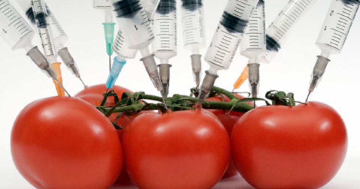 В Україні узаконили ГМО