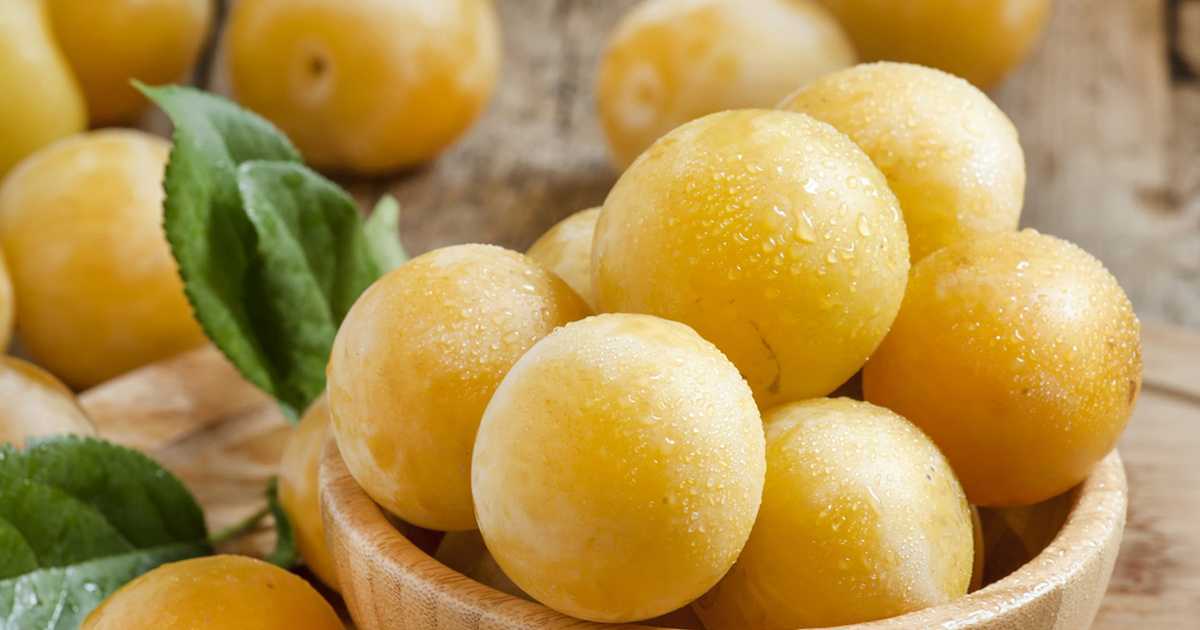 Как сделать вино из алычи в домашних условиях - простой рецепт