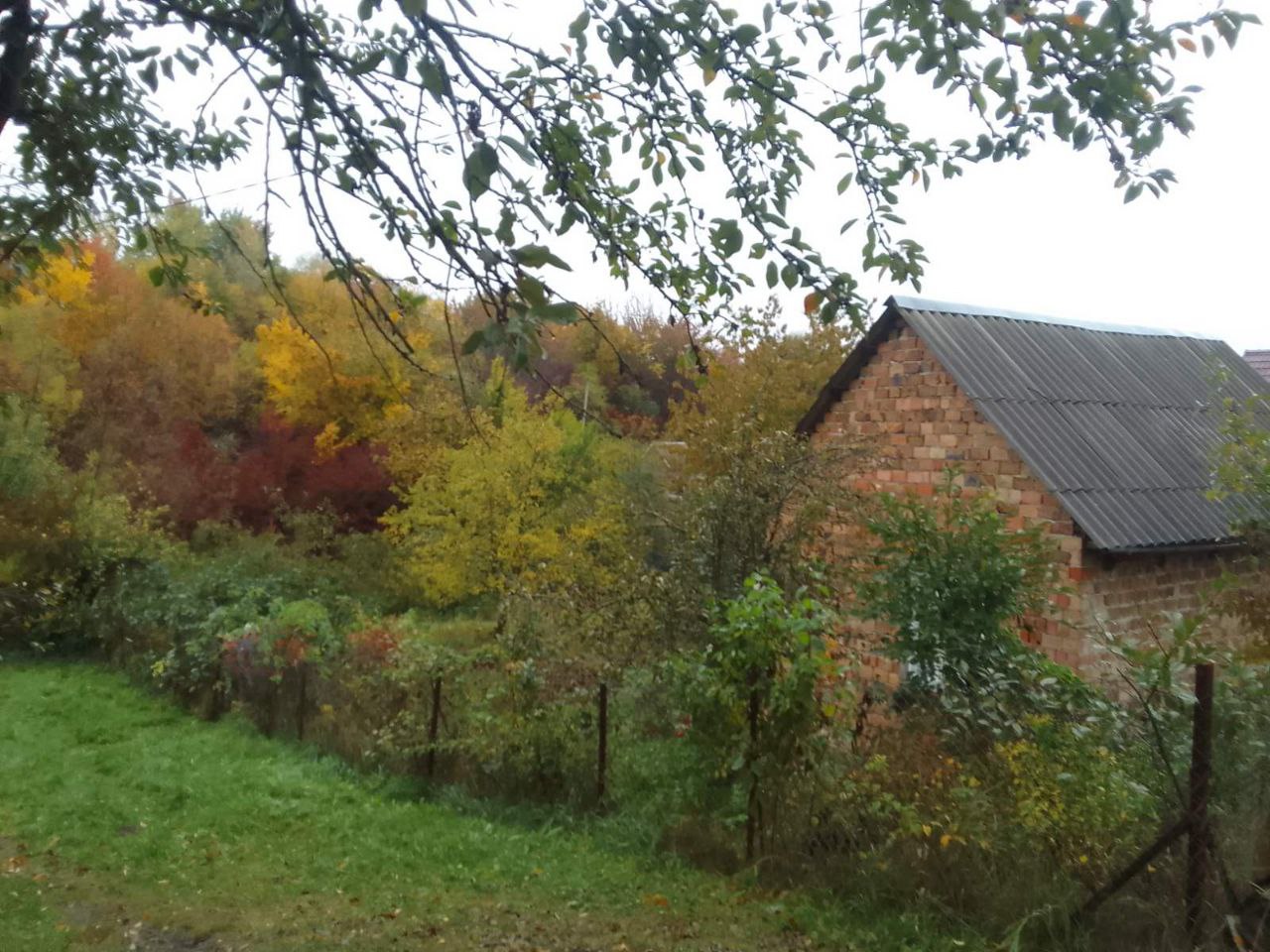 Суху і холодну погоду обіцяють синоптики 17 жовтня