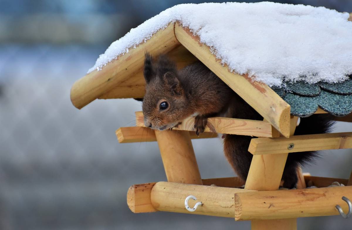 Отдых продолжается: календарь огородника на январь-2024