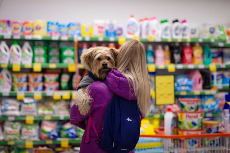 Можно ли заходить в магазин с собакой или котом: объяснение юристов