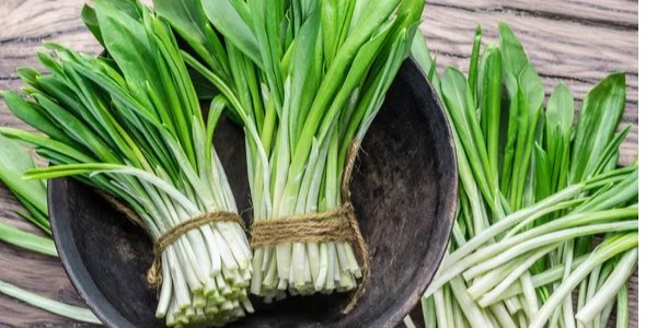 Что приготовить из черемши: рецепты картофеля из песто и бутербродной намазки