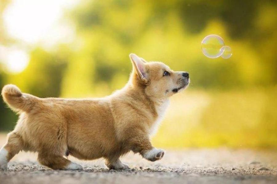 Яке сьогодні свято: що відзначають українці 4 червня та в кого сьогодні іменини