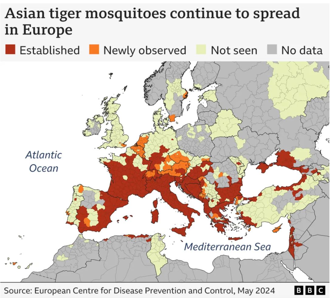 Поширення азіатського тигрового комара в Європі