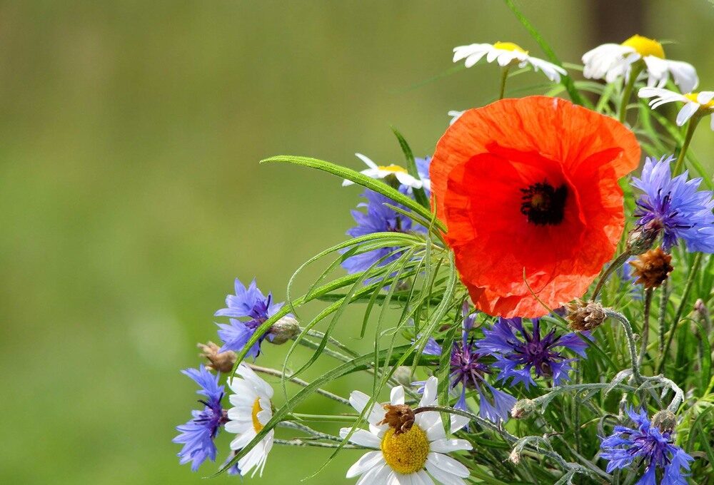 Яке свято 22 червня та хто відзначає іменини