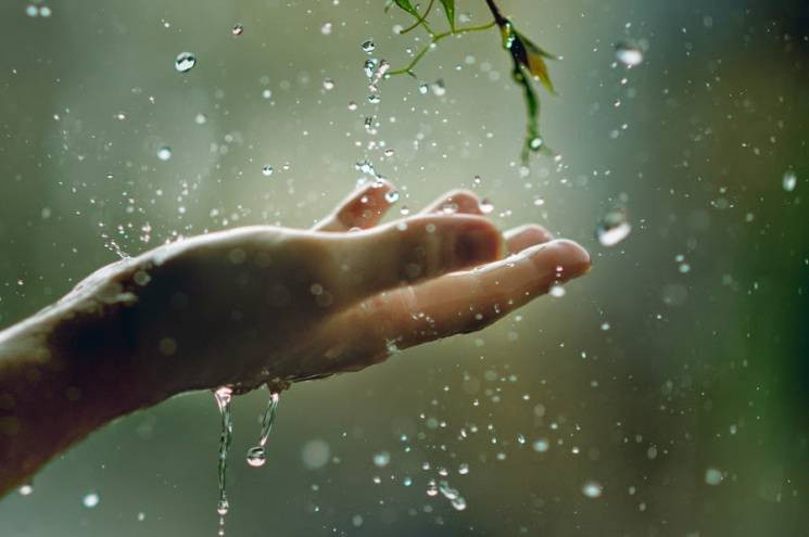 Українцям треба готуватися до 34-градусної спеки і дощів з грозами - Укргідрометцентр