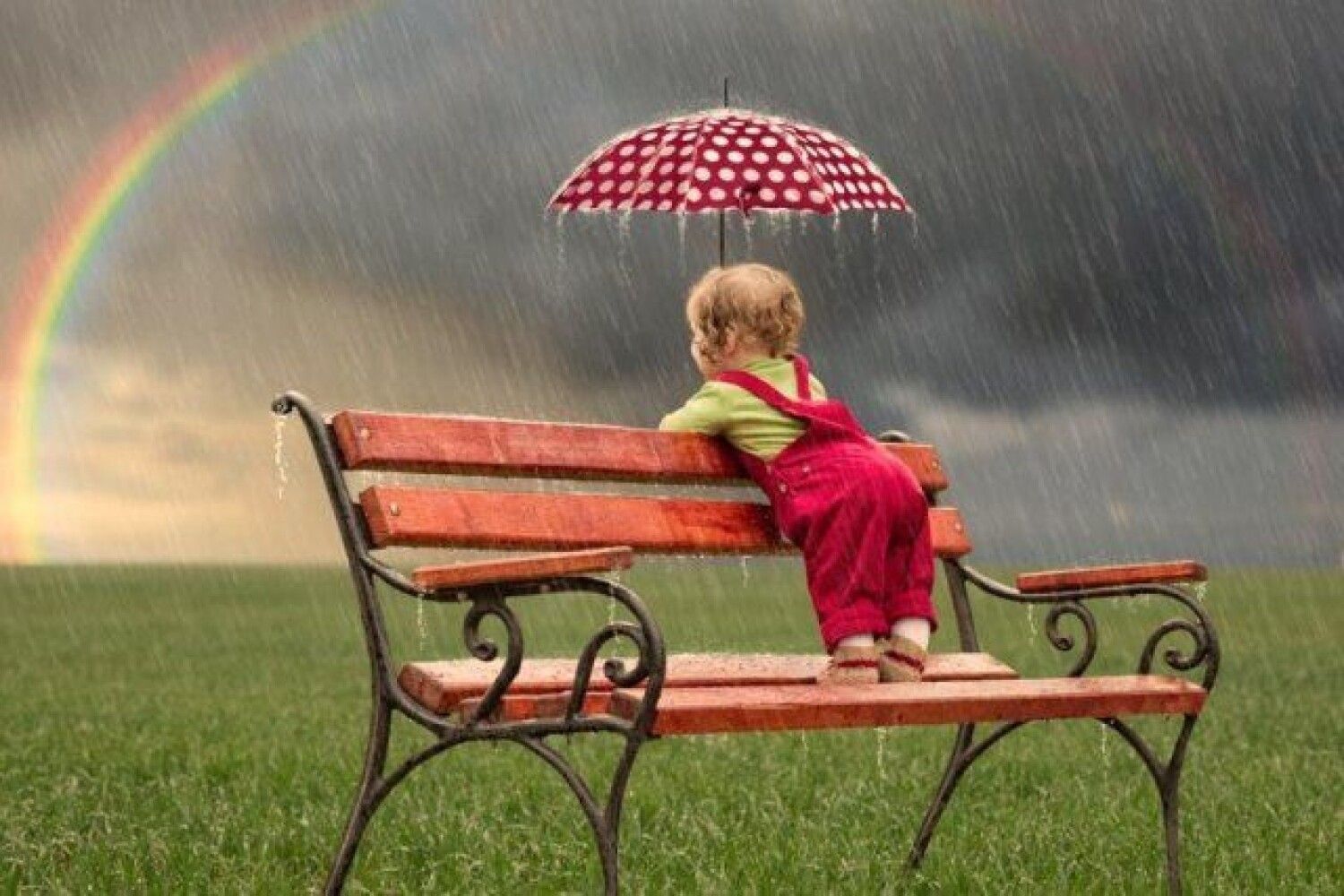 Выходные в Украине будут жаркими и дождливыми - Укргидрометцентр