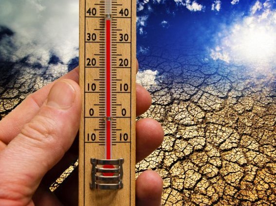 Плюс 45-48 градусов – это только начало: синоптики дали нелестный прогноз по жаре