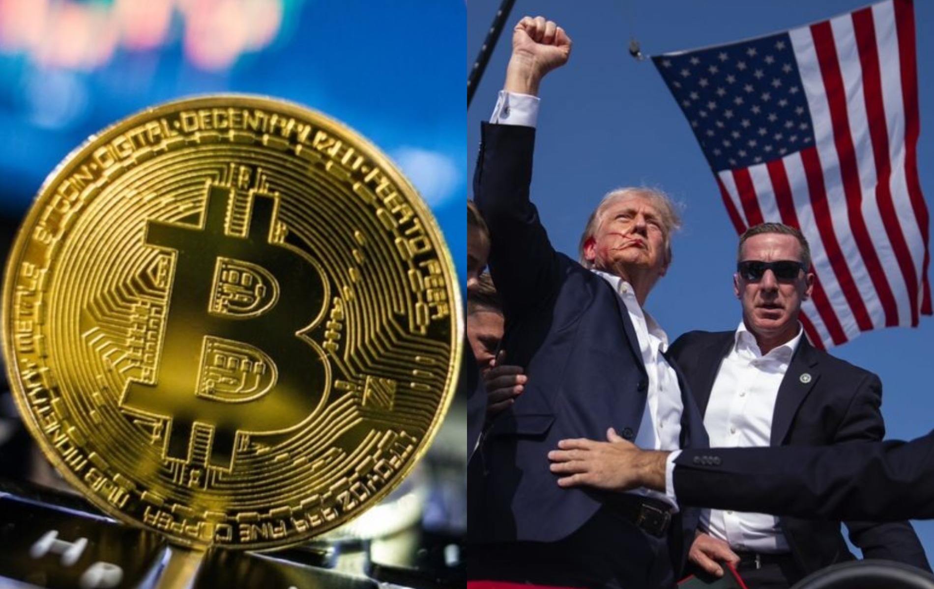 Биткоин достиг двухнедельного максимума после покушения на Трампа