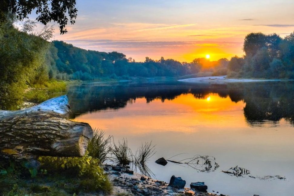 У Десні на Київщині виявили отруйні речовини, які стікають у річку з території РФ