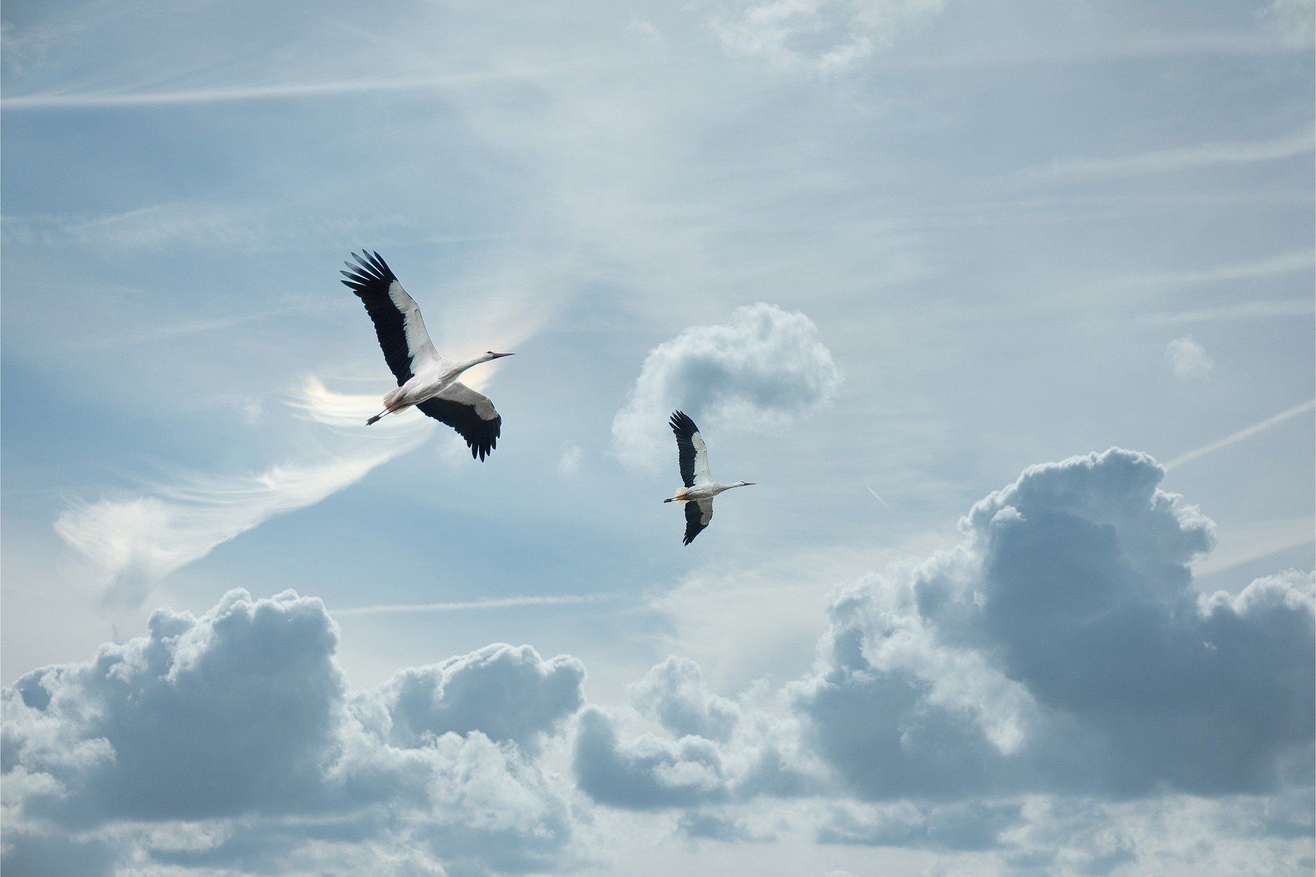 16 серпня: яке свято відзначають і що не можна робити в цей день