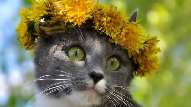 Невыносимая жара и минимум дождей: прогноз погоды на 27-31 августа