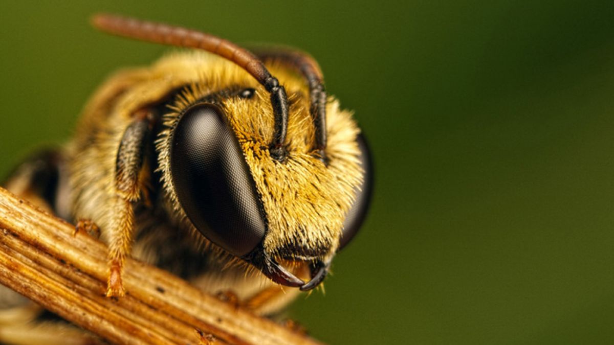 Яке свято 19 серпня, хто відзначає іменини та що заборонено сьогодні