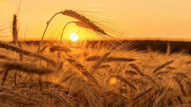 Яке свято 29 серпня та хто відзначає іменини