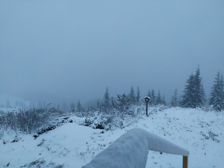 Пилова буря на сході та в центрі України вируватиме до 4 жовтня, натомість у Карпатах паде сніг (фото)