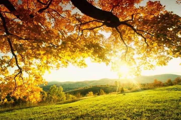 Начинается бабье лето: прогноз погоды на 6 сентября